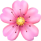 Cherry Blossom emoji on Apple